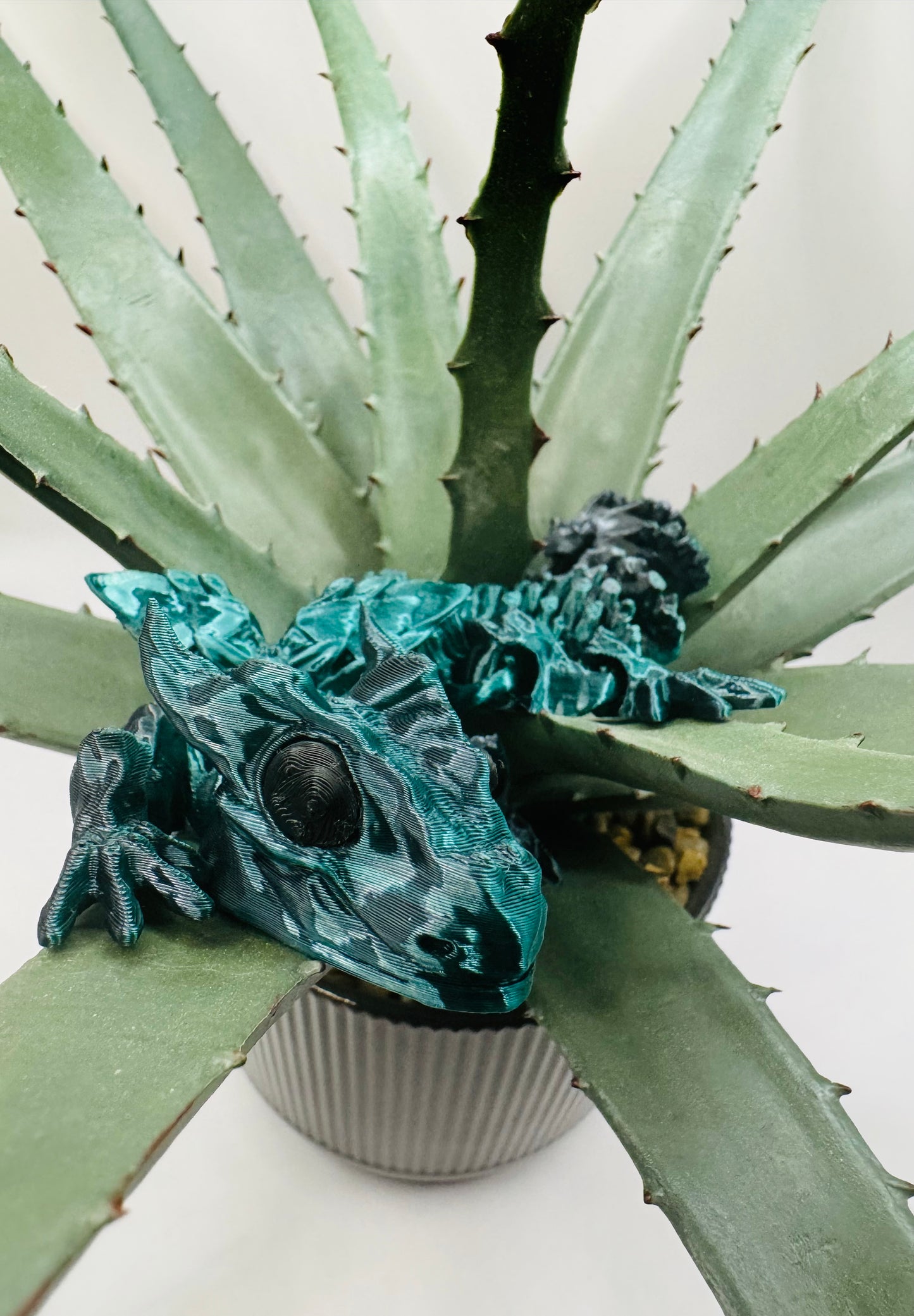 Thorn - Father Dragon - Dark Green/Black Metallic